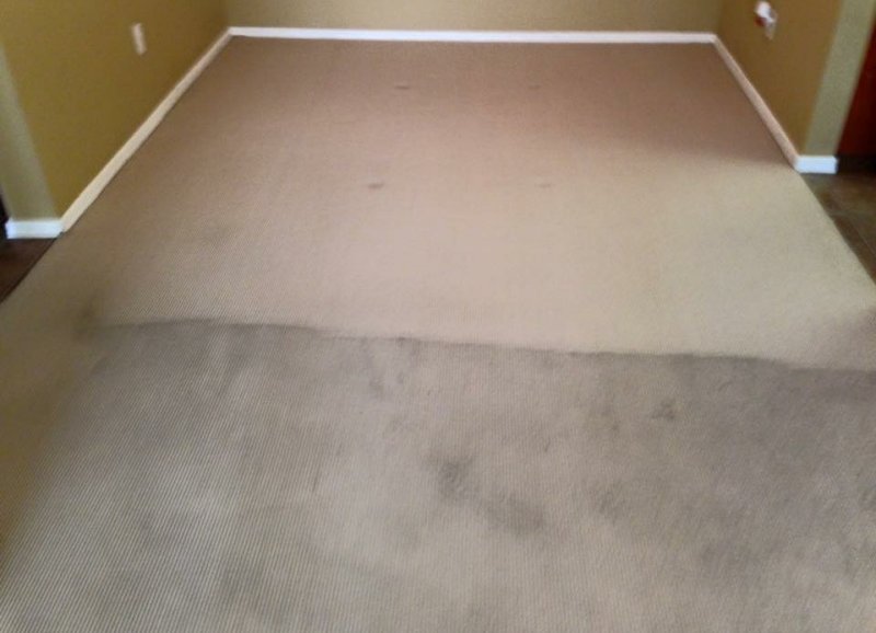 Before & After Healthy Living Carpet & Tile